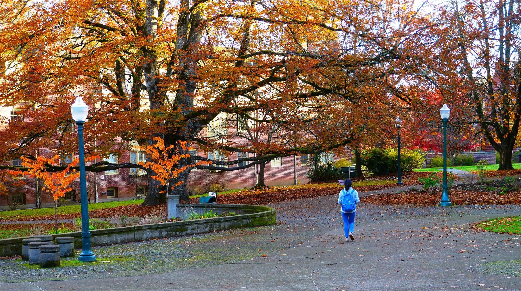 A student walking across a university campus in autumn
