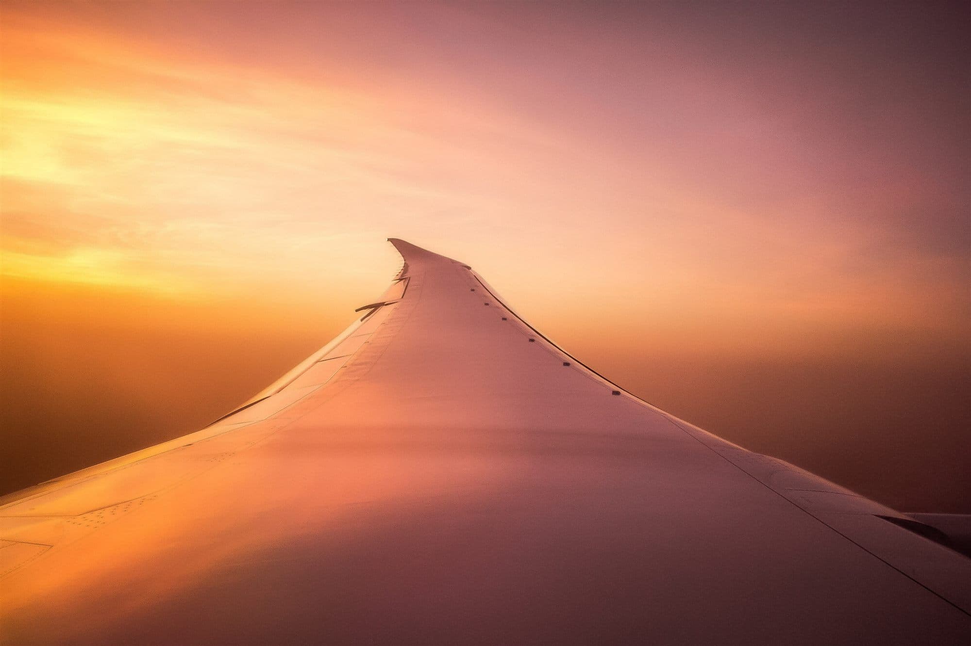 A wing above golden clouds at sunset